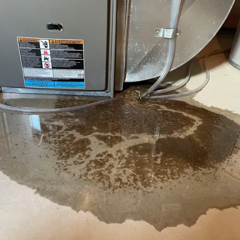 Appliance Leak Cleanup in Winfield, IN